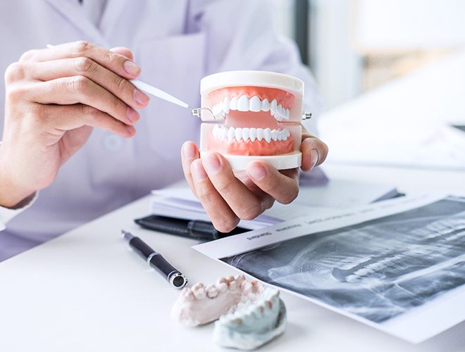 Dentist pointing to model of teeth