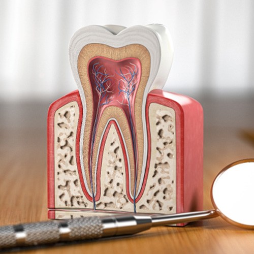Model of the inside of a tooth on desk next to dental mirror